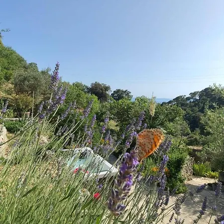 House For Rent Didova Kuca Holiday home